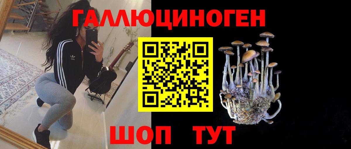 Галлюциногенные грибы GOLDEN TEACHER Гулькевичи